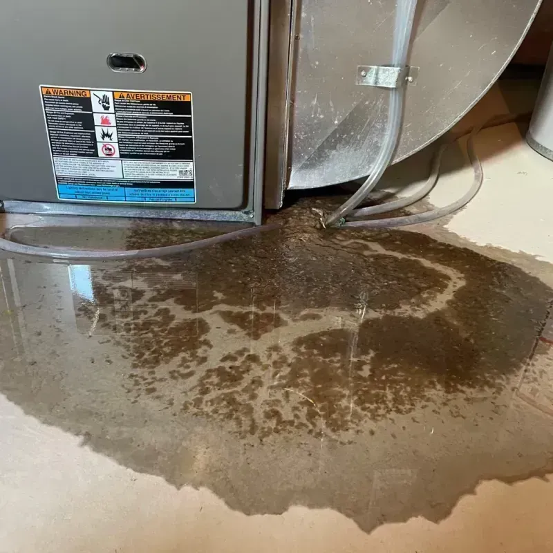 Appliance Leak Cleanup in Orleans Parish, LA